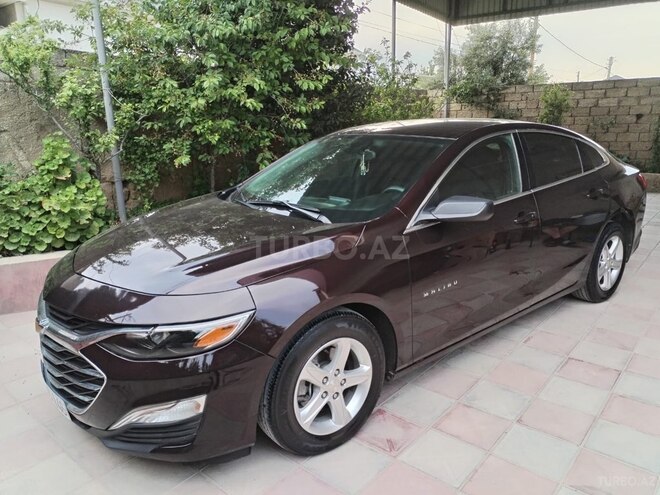 Chevrolet Malibu-2