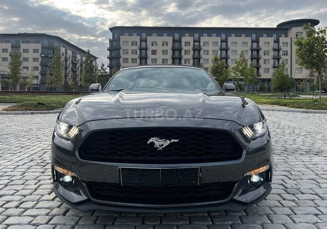 Ford Mustang-1