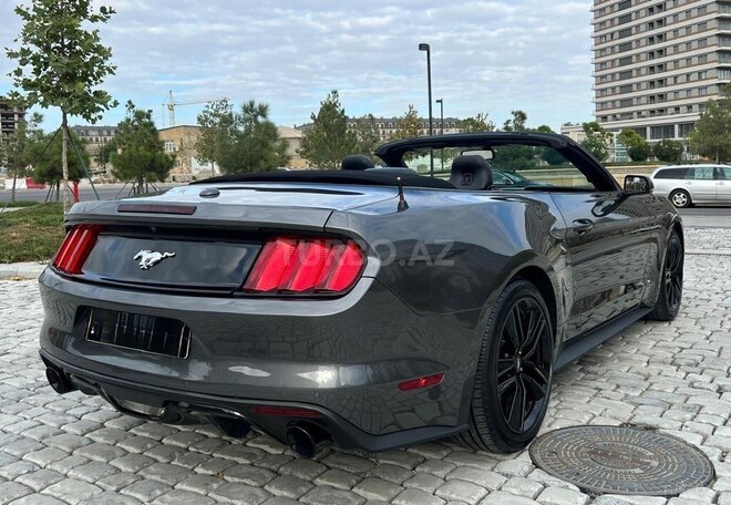 Ford Mustang-3