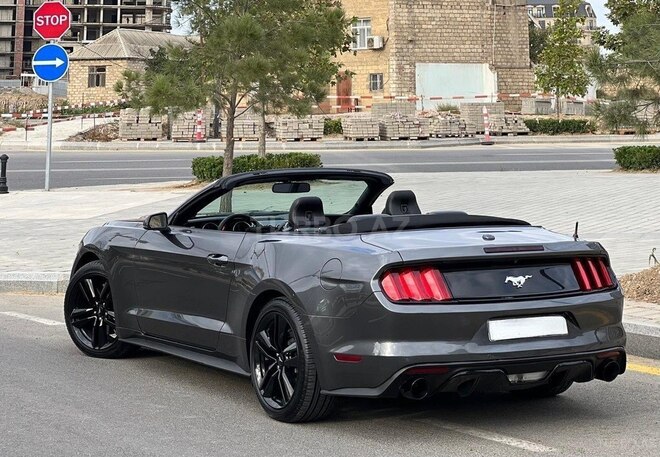 Ford Mustang-2
