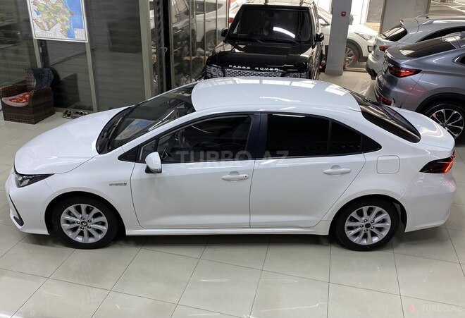 Toyota Corolla-8