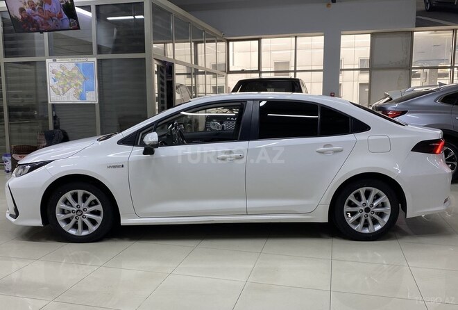 Toyota Corolla-7