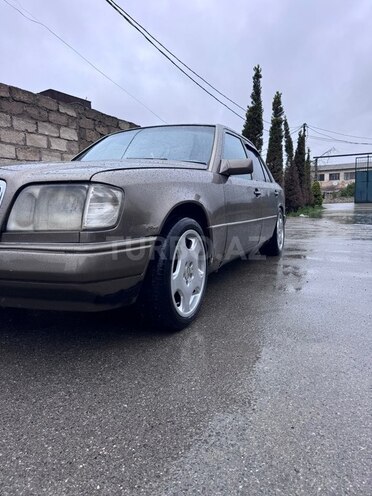 Mercedes 250 D-5