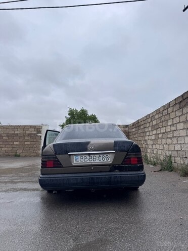 Mercedes 250 D-7