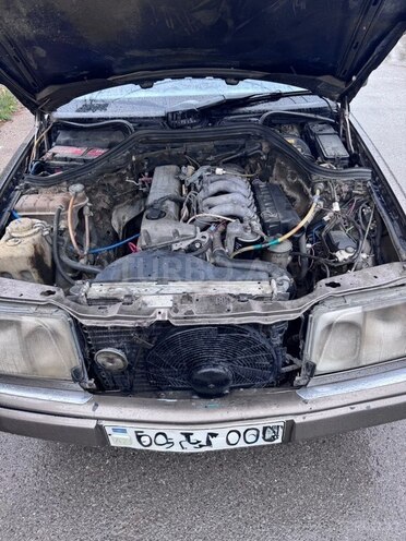 Mercedes 250 D-9