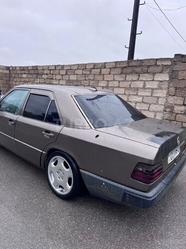 Mercedes 250 D-10