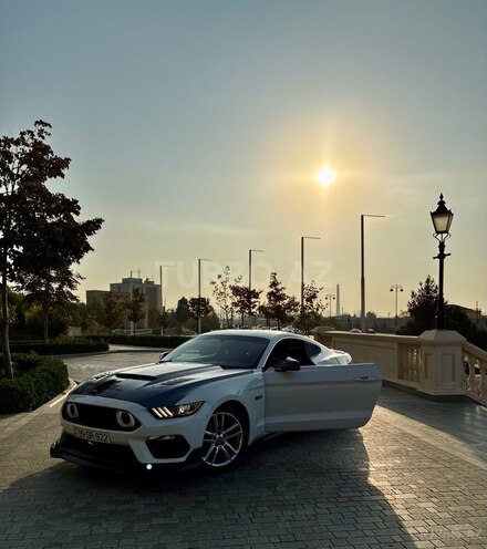 Ford Mustang-15