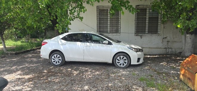 Toyota Corolla-3