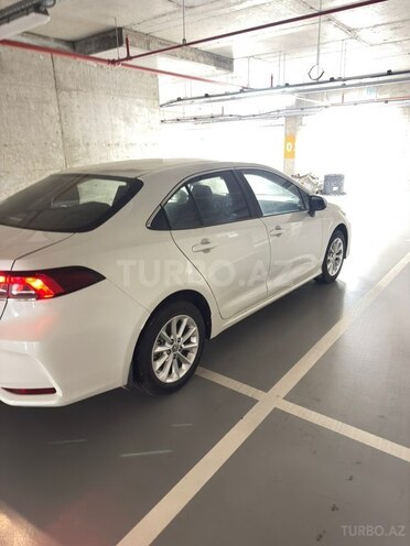 Toyota Corolla-3