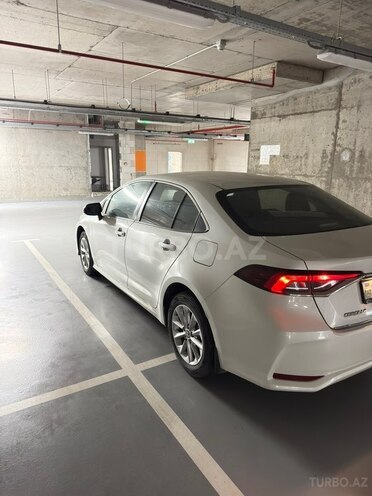 Toyota Corolla-4