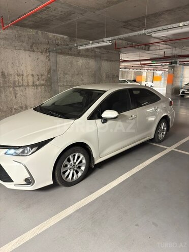 Toyota Corolla-7