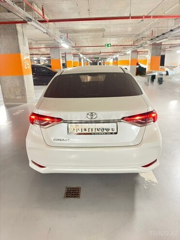 Toyota Corolla-4