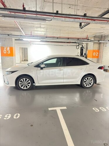 Toyota Corolla-6