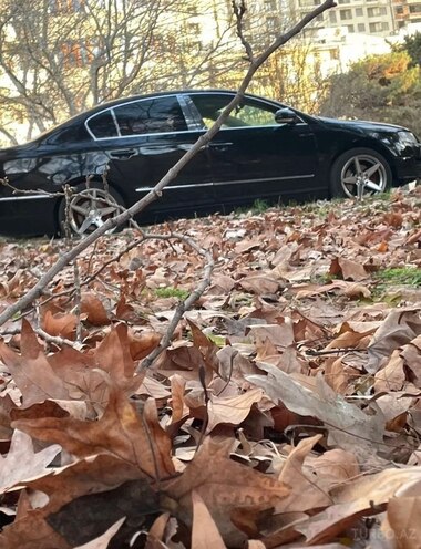 Volkswagen Passat-9