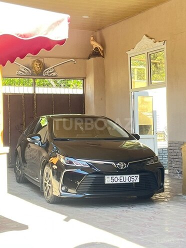 Toyota Corolla-13