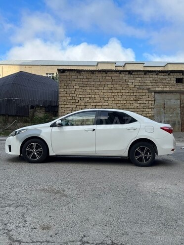 Toyota Corolla-4