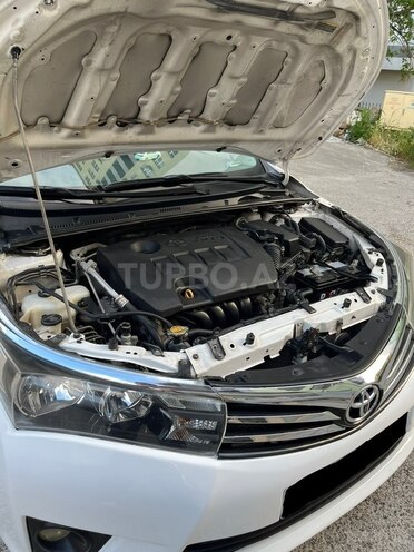 Toyota Corolla-14