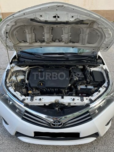 Toyota Corolla-13