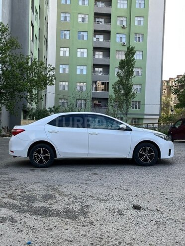 Toyota Corolla-5