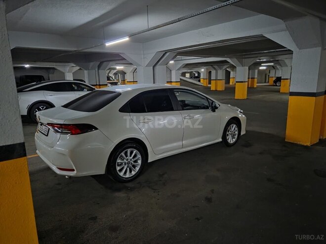 Toyota Corolla-10