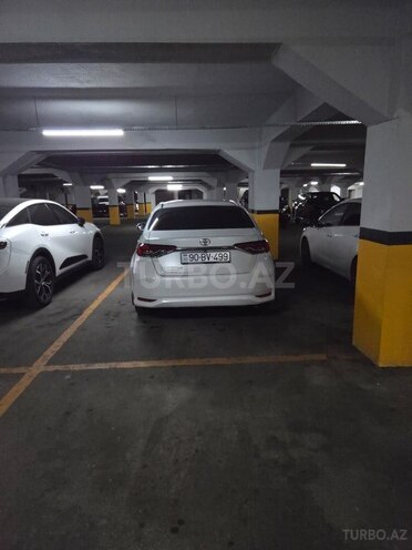 Toyota Corolla-11