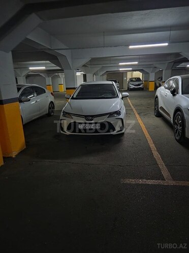Toyota Corolla-1