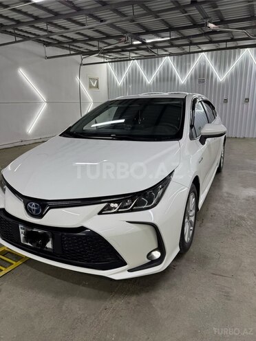 Toyota Corolla-2