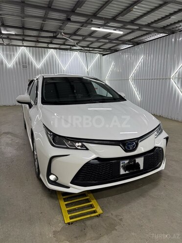 Toyota Corolla-1