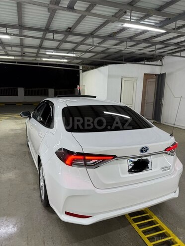 Toyota Corolla-8