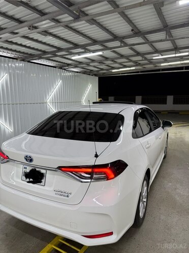 Toyota Corolla-9