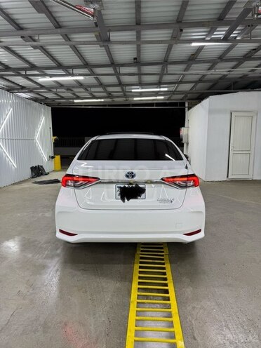 Toyota Corolla-6