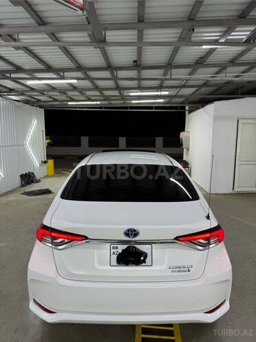 Toyota Corolla-7