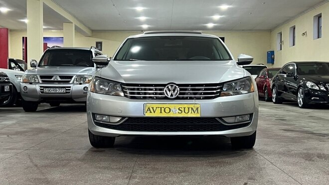 Volkswagen Passat-10