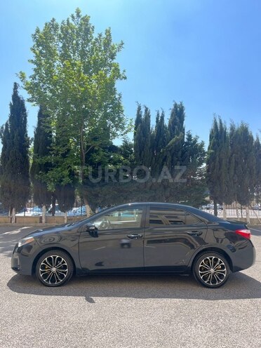 Toyota Corolla-6