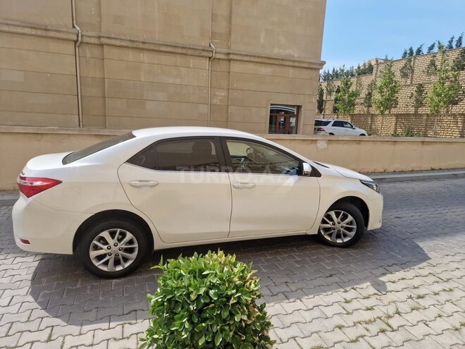 Toyota Corolla-6