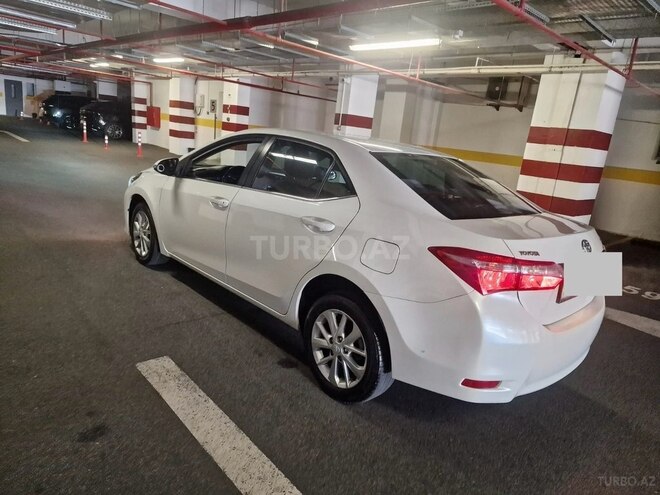 Toyota Corolla-8