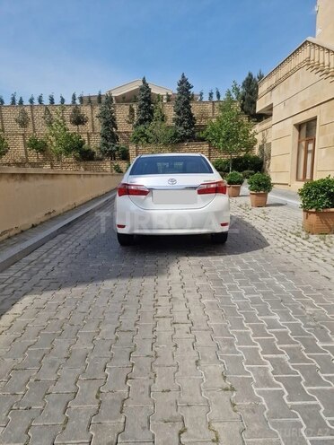 Toyota Corolla-7