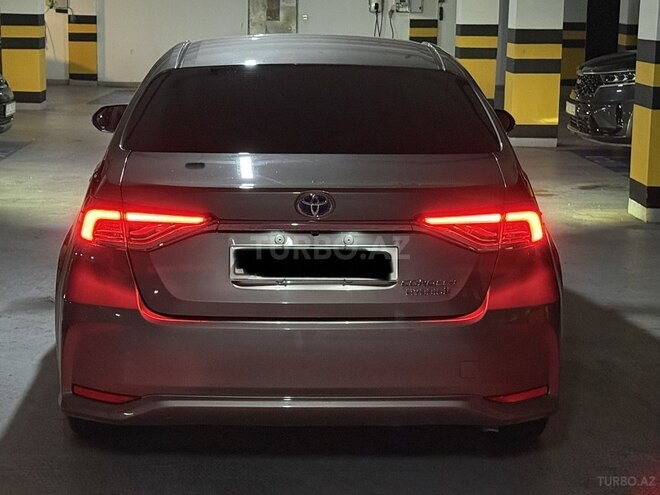 Toyota Corolla-7