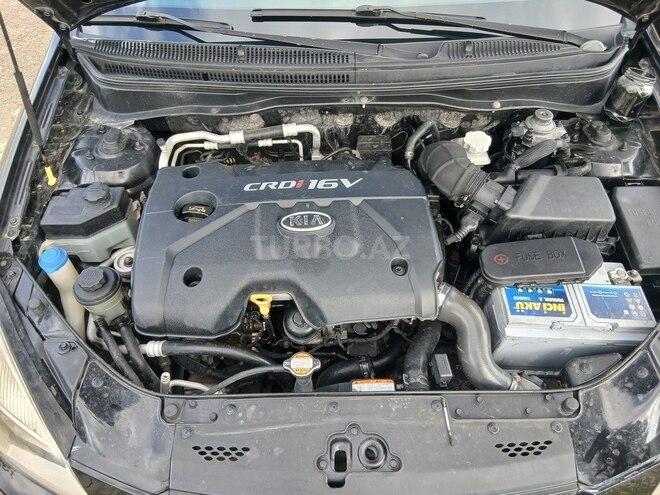 Kia Rio-11