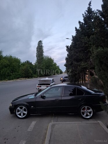 BMW 316-4