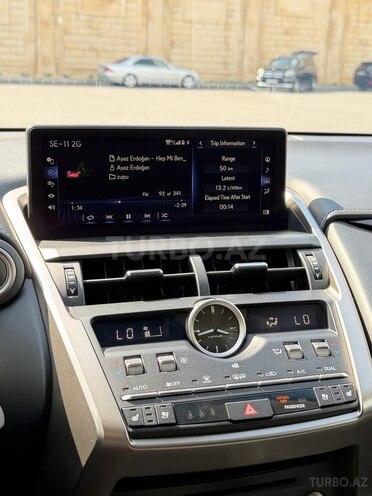 Lexus NX 300-13