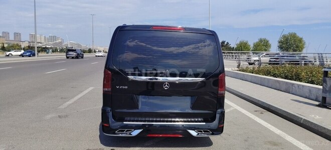 Mercedes Viano-2