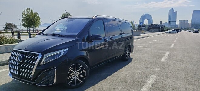 Mercedes Viano-9