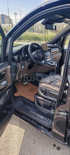 Mercedes Viano-20