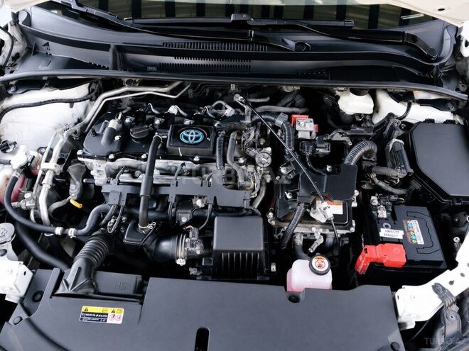 Toyota Corolla-6
