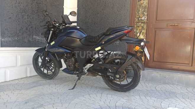 Suzuki V-Strom 250-10