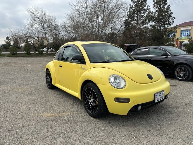 Volkswagen Beetle-1