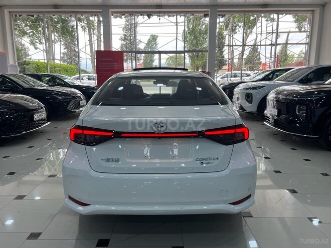 Toyota Corolla-6