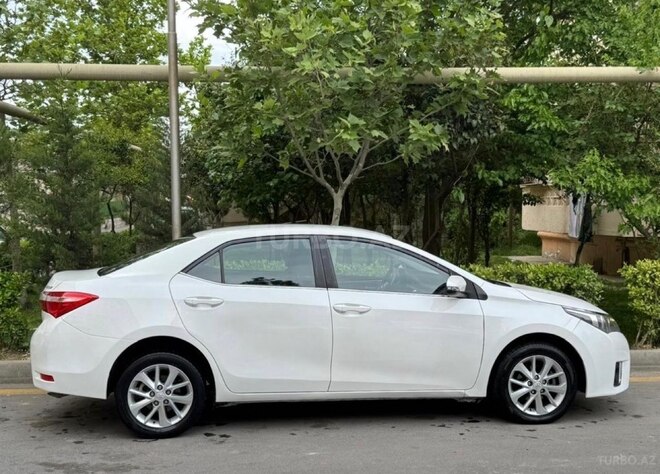 Toyota Corolla-4