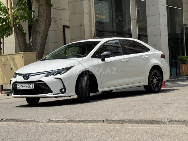 Toyota Corolla-6